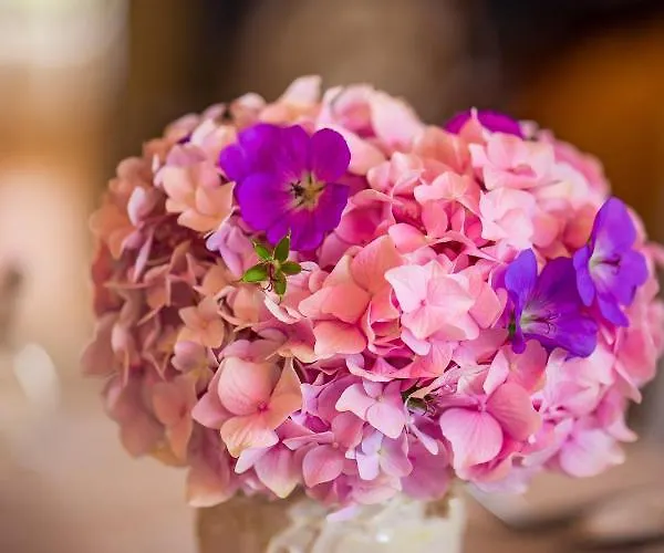 Bed and Breakfast Park